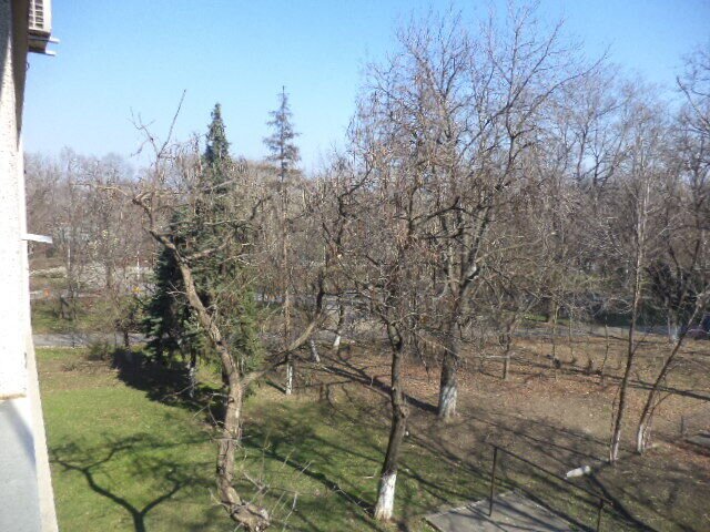 Beller, Parc Floreasca,