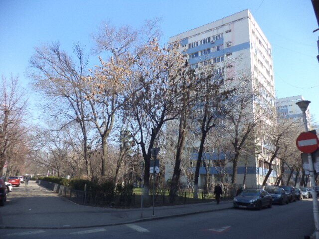 Beller, Parc Floreasca,